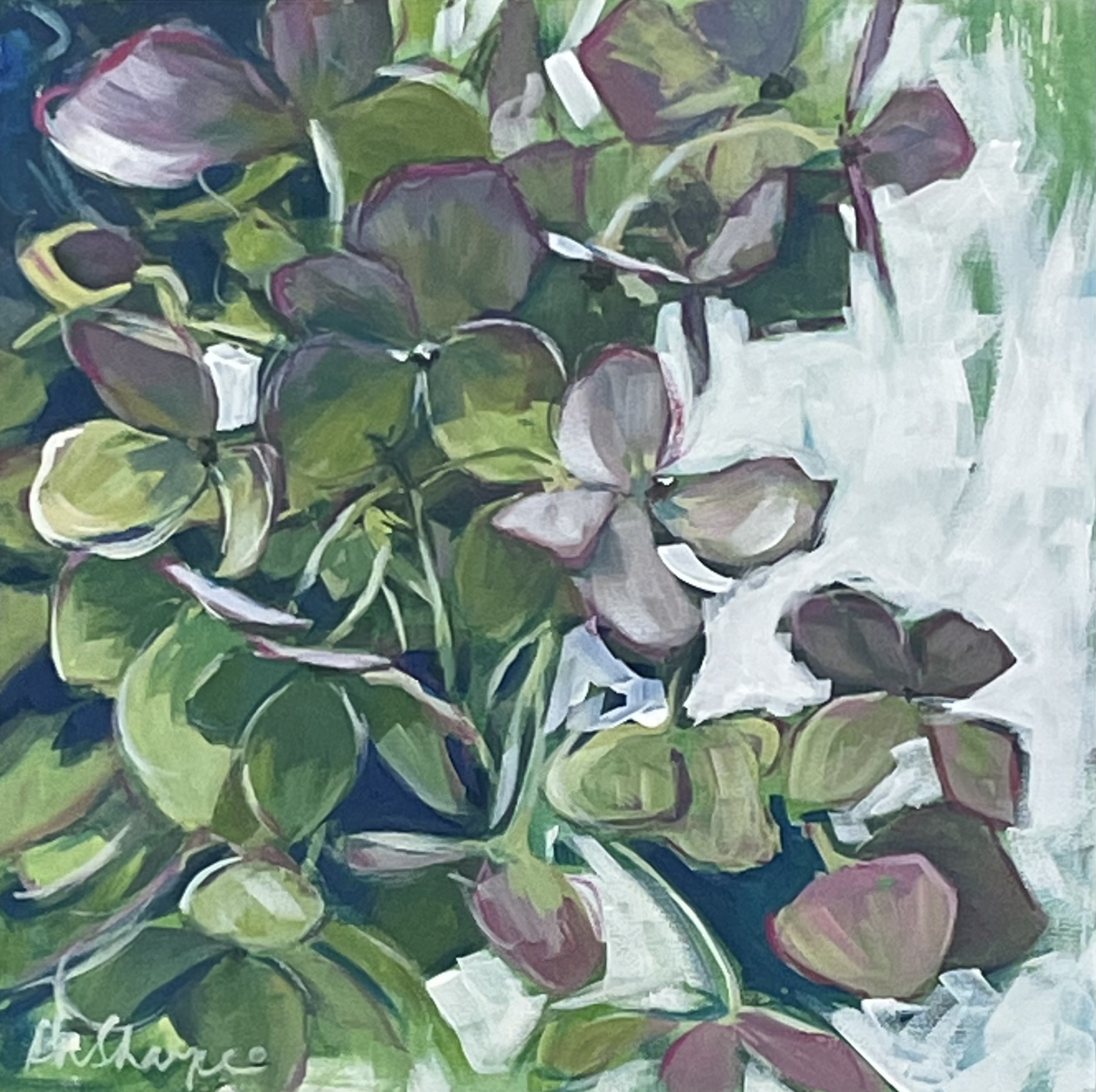 Click here to view Summer Hydrangea by Grace W Sharpe