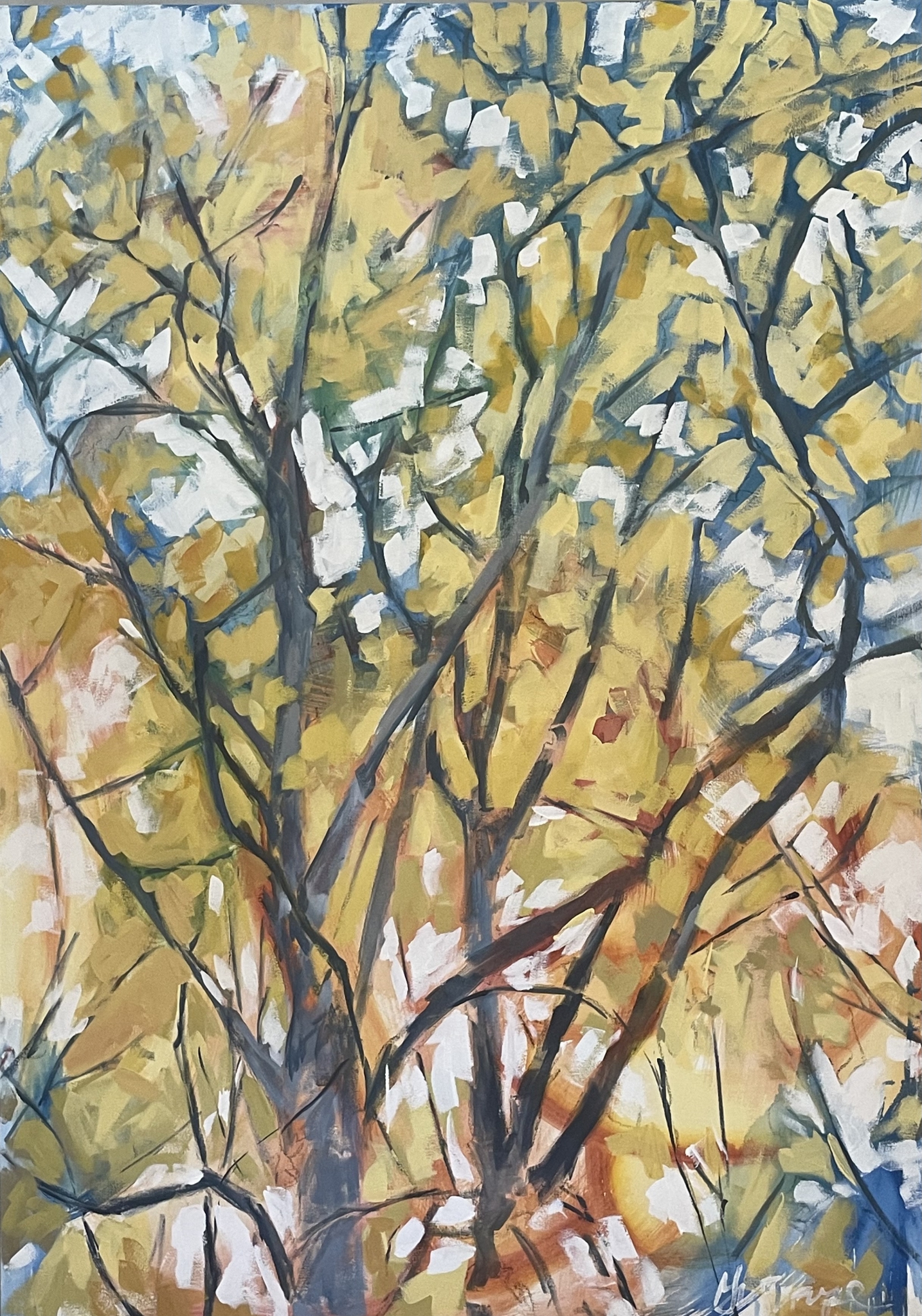 Click here to view Lost in the Trees by Grace W Sharpe